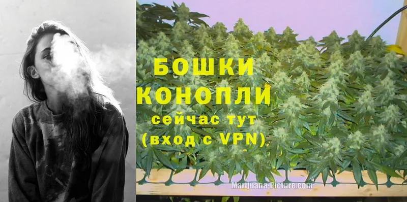 МЕГА ТОР  Буй  Конопля OG Kush 